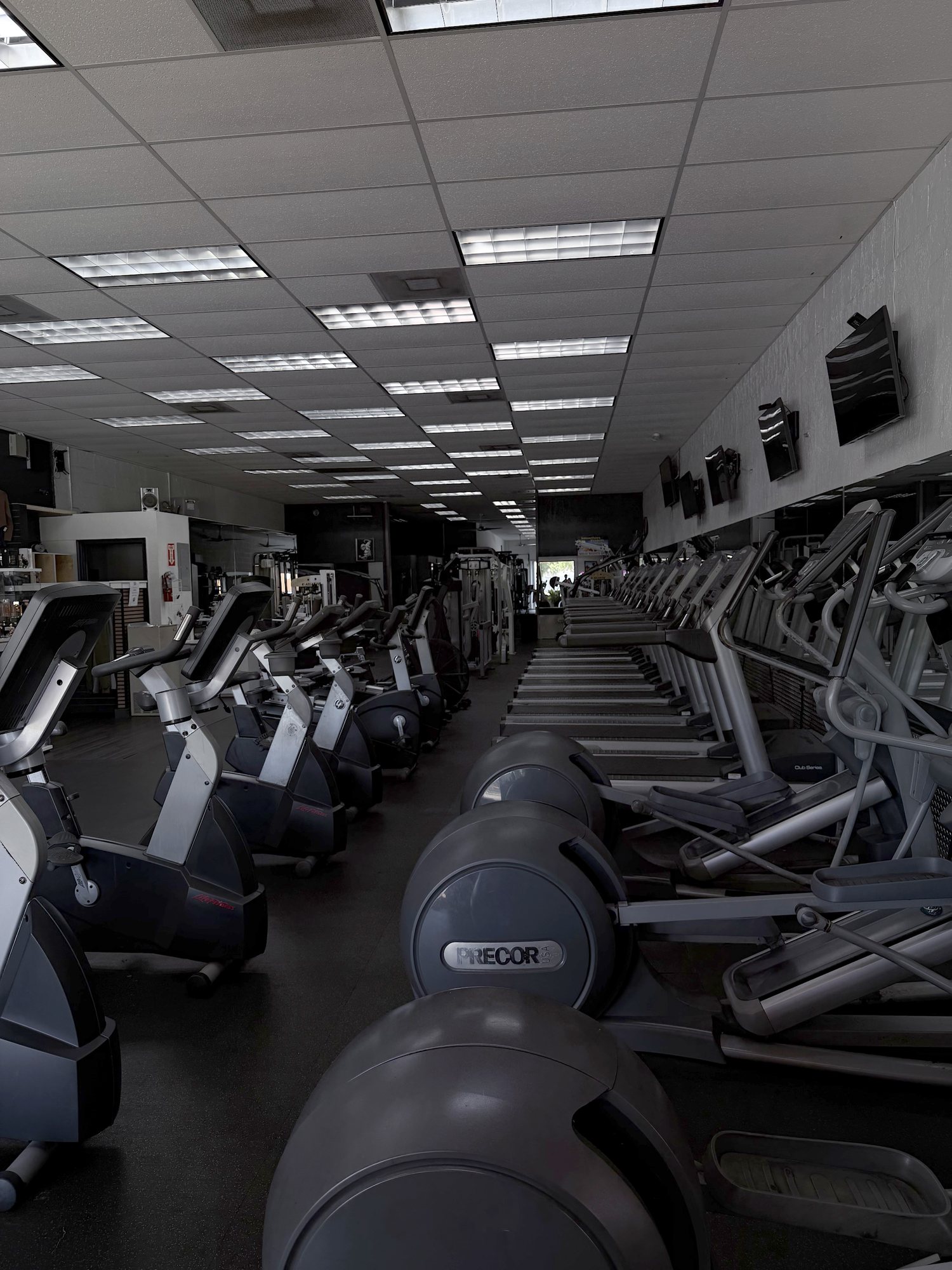 The Solid Bodies Gym cardio floor: rows of bikes, ellipticals and treadmills